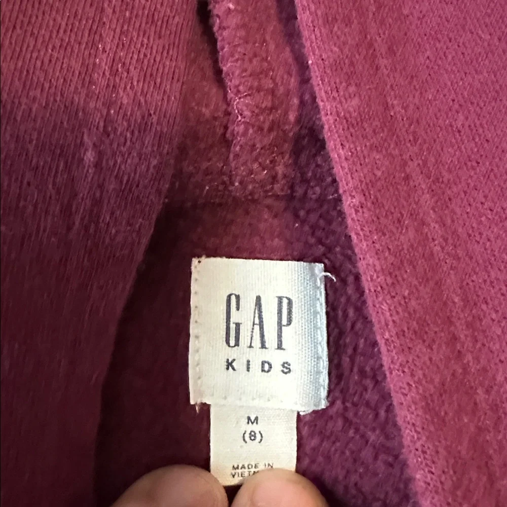 GAP Kids Burgundy Hoodie